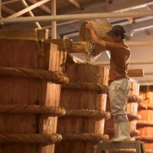 Tour Nam đảo Phú Quốc