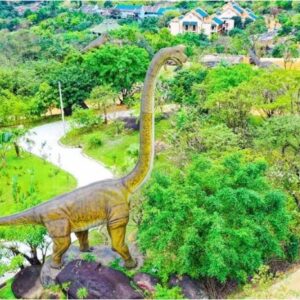 Tour núi Thần Tài