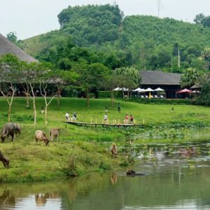 Tour Kim Bôi Hòa Bình