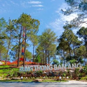 Tour Mộc Châu 2 ngày 1 đêm