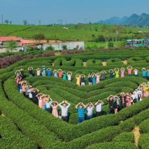 Tour Mộc Châu 2 ngày 1 đêm