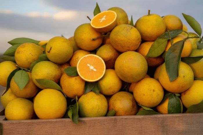 Đặc sản Mai Châu mua về làm quà