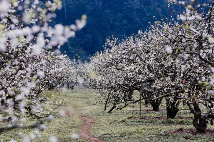 Khí hậu Mai Châu Hòa Bình