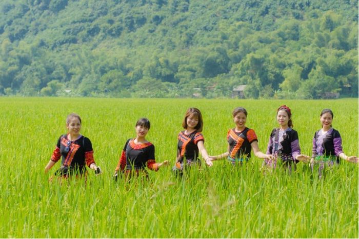 Mai Châu Hòa Bình mùa nào đẹp