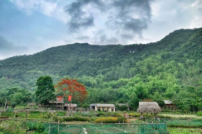 Mai Châu Hòa Bình có gì đẹp