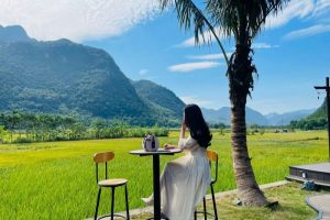 Quán cafe Hòa Bình