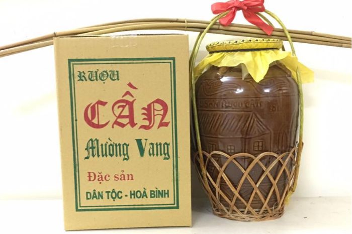 Rượu cần Hòa Bình mua ở đâu