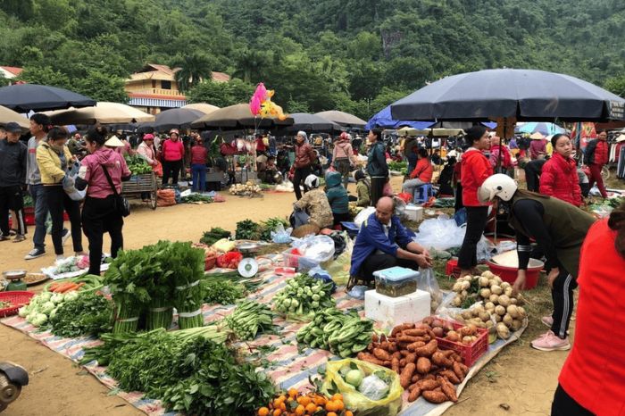 Nông sản Mai Châu mua ở đâu?