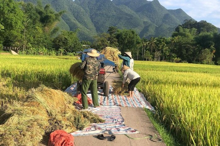 Nông sản Mai Châu mua ở đâu?