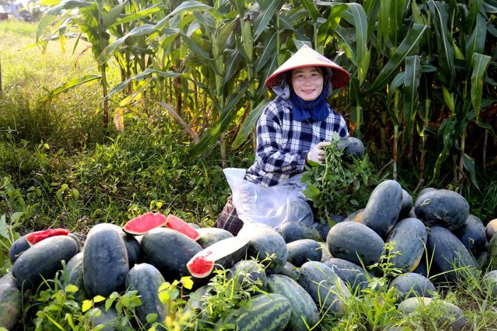 Nông sản Mai Châu